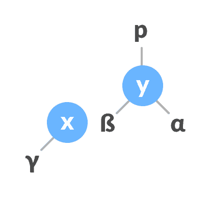 assign y as the parent of the right subtree of x. right-rotate