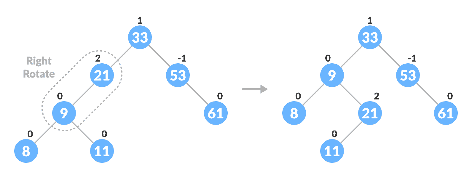 right-rotate for balancing the tree right-rotate