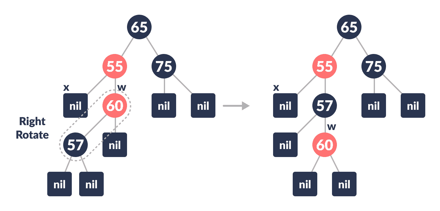 right rotate deletion in a red-black tree