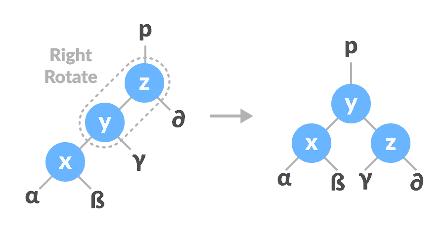 right rotate z-y left-right rotate