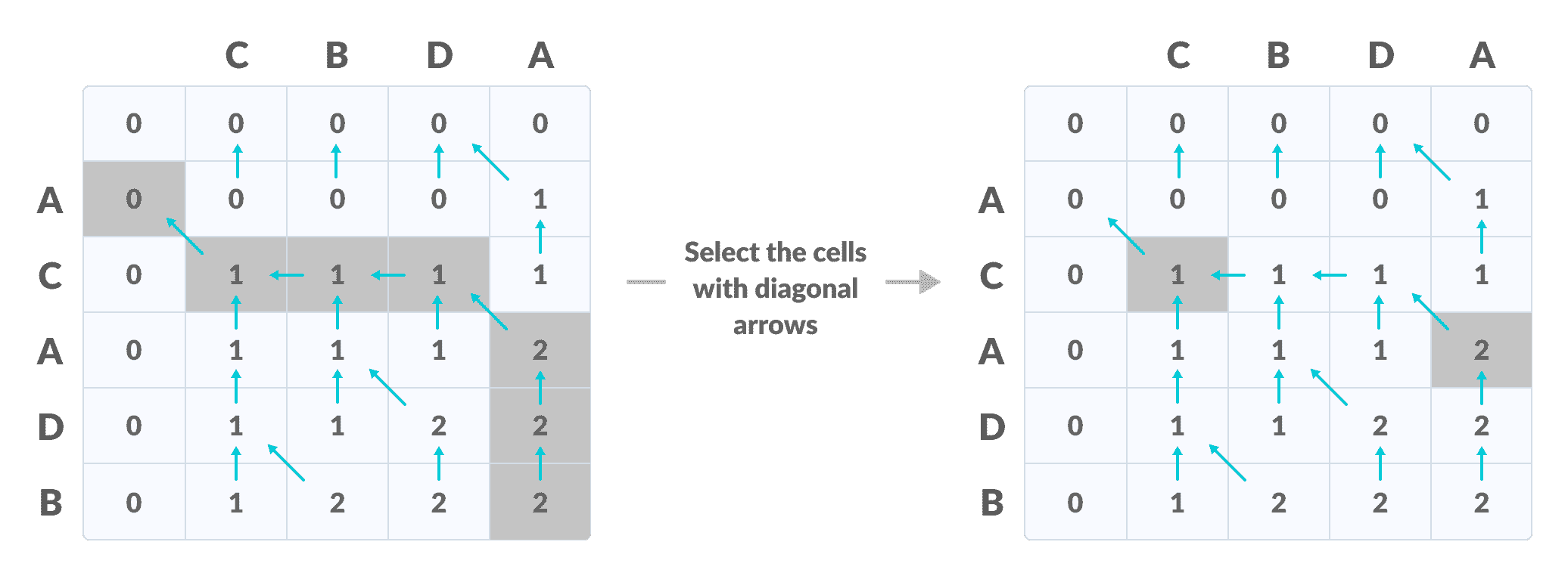 create a path according to the arrows Longest Common Subsequence create a path