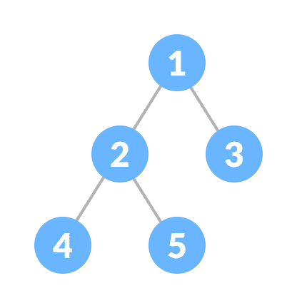 Binary Tree Binary Tree
