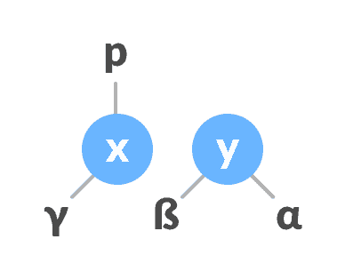 Assign the parent of y as the parent of x. right-rotate